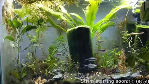 Snapshot of booker_baxton chatting on 11, 2, 2025 Booker Baxton online show from 11, 2, 2025