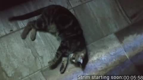 Snapshot of booker_baxton chatting on 15, 2, 2025 Booker Baxton online show from 15, 2, 2025