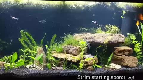 Snapshot of booker_baxton chatting on 19, 9, 2025 Booker Baxton online show from 19, 9, 2025