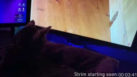 Snapshot of booker_baxton chatting on 20, 9, 2025 Booker Baxton online show from 20, 9, 2025