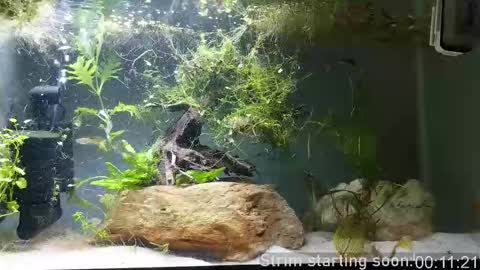 Snapshot of booker_baxton chatting on 21, 9, 2025 Booker Baxton online show from 21, 9, 2025