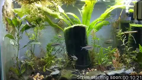 Snapshot of booker_baxton chatting on 23, 9, 2025 Booker Baxton online show from 23, 9, 2025