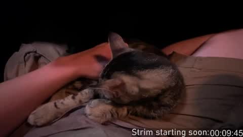 Snapshot of booker_baxton chatting on 28, 9, 2025 Booker Baxton online show from 28, 9, 2025