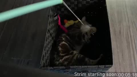 Snapshot of booker_baxton chatting on 4, 10, 2025 Booker Baxton online show from 4, 10, 2025