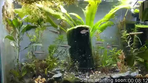 Snapshot of booker_baxton chatting on 4, 11, 2025 Booker Baxton online show from 4, 11, 2025