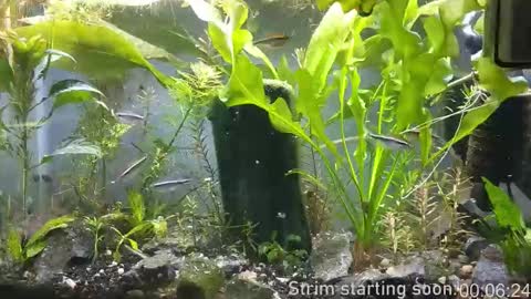 Snapshot of booker_baxton chatting on 9, 11, 2025 Booker Baxton online show from 9, 11, 2025