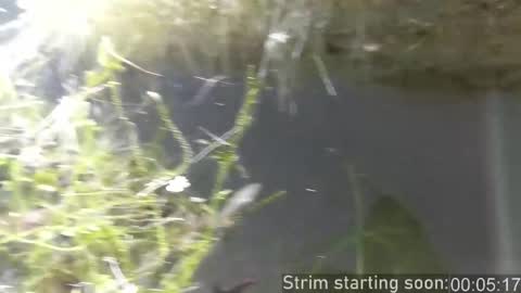 Snapshot of booker_baxton chatting on 27, 11, 2025 Booker Baxton online show from 27, 11, 2025