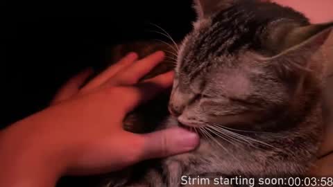 Booker Baxton online show from 12, 2, 2026