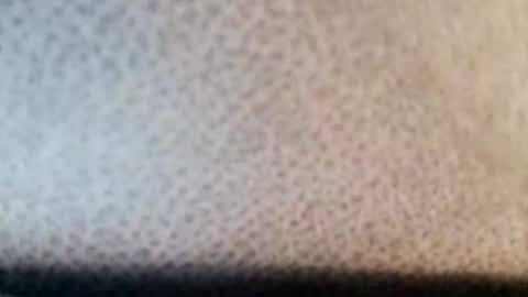 Snapshot of boolika chatting on 11, 3, 2025 Boolika online show from 11, 3, 2025