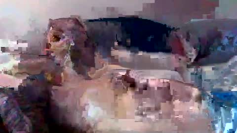 Snapshot of boomer64814390 chatting on 12, 7, 2026 boomer64814390 online show from 12, 7, 2026