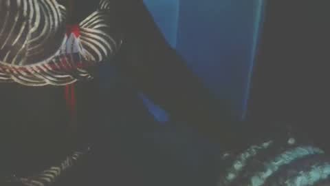 bootylicious254 online show from 27, 10, 2025