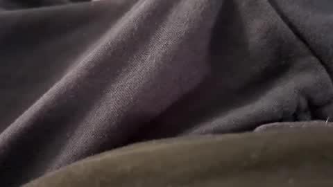 Snapshot of borderslad1101 chatting on 7, 11, 2025 Borderslad1101 online show from 7, 11, 2025