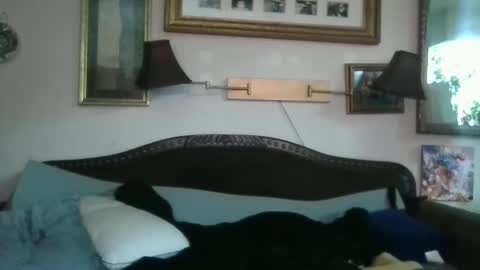 Snapshot of boredaf6678 chatting on 16, 12, 2024 boredaf6678 online show from 16, 12, 2024