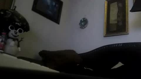 Snapshot of boredaf6678 chatting on 23, 12, 2024 boredaf6678 online show from 23, 12, 2024