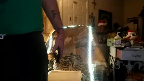 Snapshot of boredaf6678 chatting on 25, 12, 2024 boredaf6678 online show from 25, 12, 2024