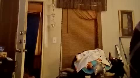 Snapshot of boredaf6678 chatting on 22, 11, 2025 boredaf6678 online show from 22, 11, 2025