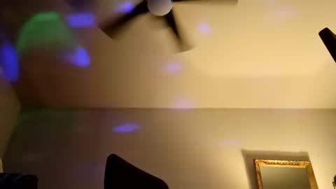 boredaf6678 online show from 3, 4, 2026