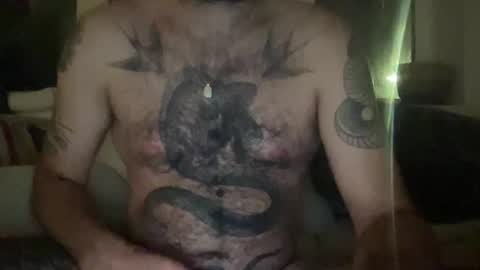 Snapshot of borrelnoot chatting on 17, 9, 2025 borrelnoot online show from 17, 9, 2025