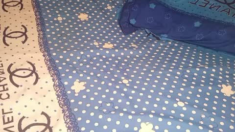 bossetassy online show from 10, 4, 2026