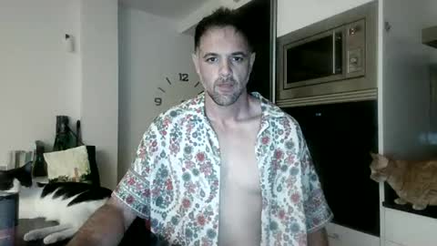 boxing___spf online show from 15, 6, 2026
