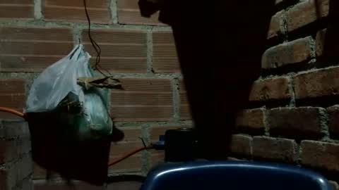 Boy online show from 7, 10, 2025