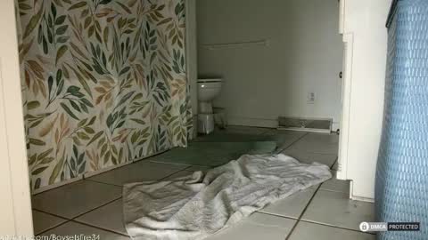 Snapshot of boysetsfire34 chatting on 18, 2, 2026 boysetsfire34 online show from 18, 2, 2026