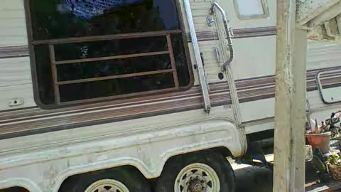 Snapshot of bpdbrittany chatting on 9, 2, 2025 bpdbrittany online show from 9, 2, 2025