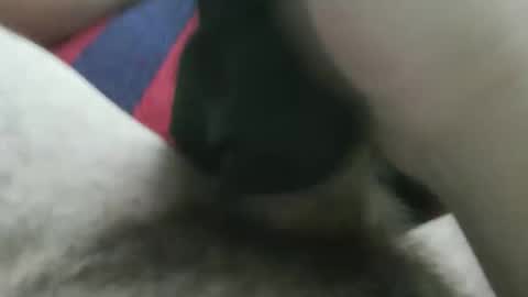 bpllpd online show from 23, 12, 2025