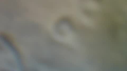 bradynoggle online show from 11, 9, 2025