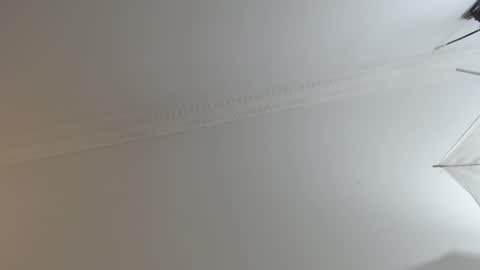 Snapshot of brandoncolee chatting on 10, 2, 2025 BrandonCole online show from 10, 2, 2025