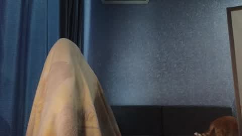 Snapshot of brandy__stars chatting on 8, 11, 2025 Belle online show from 8, 11, 2025