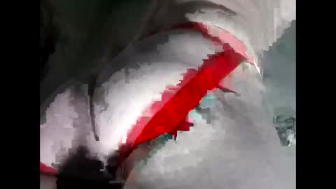 Anal-Prince online show from 19, 11, 2025