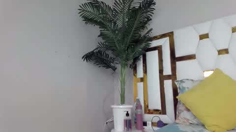 Snapshot of brennan007 chatting on 12, 2, 2025 brennan online show from 12, 2, 2025