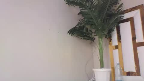 Snapshot of brennan007 chatting on 14, 2, 2025 brennan online show from 14, 2, 2025