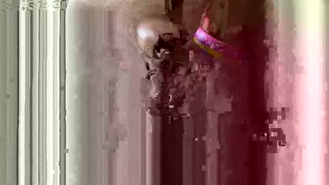 brewfan65 online show from 24, 10, 2025