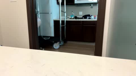 Snapshot of brickmeup chatting on 8, 4, 2026 brickmeup online show from 8, 4, 2026