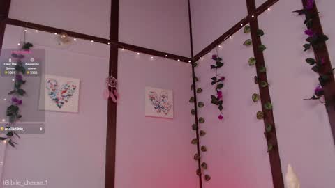 Brie  Ill be away November 2829 and 30. See u on Sunday for more fun online show from 4, 1, 2025