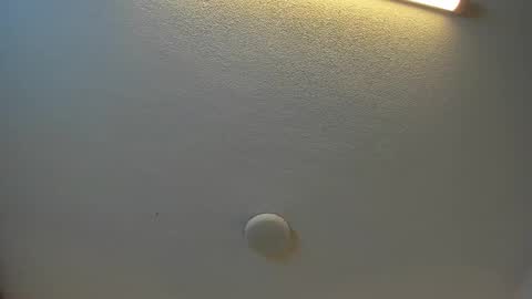 Brittany  online show from 27, 9, 2025