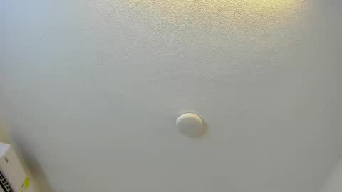 Brittany  online show from 1, 3, 2026