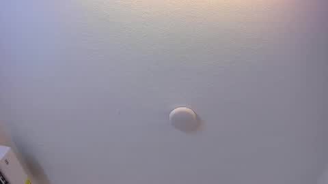 Brittany  online show from 8, 3, 2026