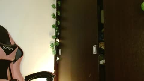 maru miaw   Please help me to reach 100 thumbs up online show from 17, 1, 2026