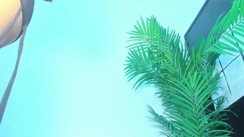 Snapshot of briyit_doll chatting on 10, 1, 2025 BRIYIT online show from 10, 1, 2025