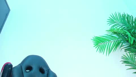 Snapshot of briyit_doll chatting on 1, 2, 2025 BRIYIT online show from 1, 2, 2025