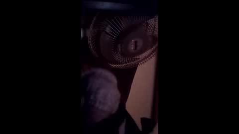 Brobator-gator online show from 19, 2, 2026