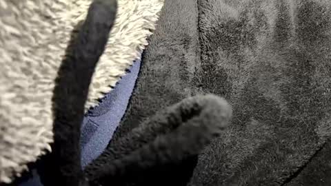 Snapshot of broken_lad chatting on 12, 1, 2026 just a broken boy online show from 12, 1, 2026