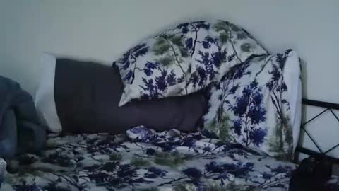 Snapshot of bruc12168 chatting on 20, 2, 2025 Bruc12168 fit slim new makemecum bigdick edging online show from 20, 2, 2025