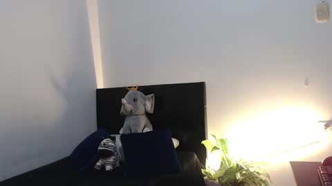 brucestroud online show from 6, 1, 2026