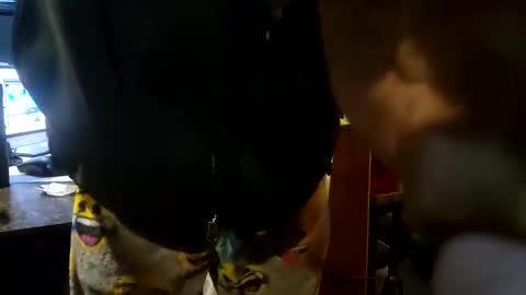 Snapshot of brushsquach chatting on 26, 1, 2025 Steve... aka SkinnieDippin aka TimberTramp online show from 26, 1, 2025