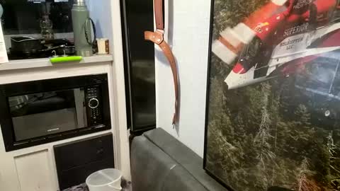 Snapshot of brushsquach chatting on 21, 2, 2025 Steve... aka SkinnieDippin aka TimberTramp online show from 21, 2, 2025