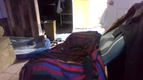 brutal3anddone online show from 16, 10, 2025